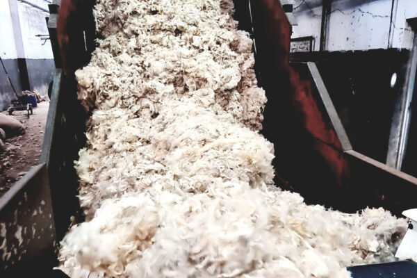 rantex_productos_ (1)