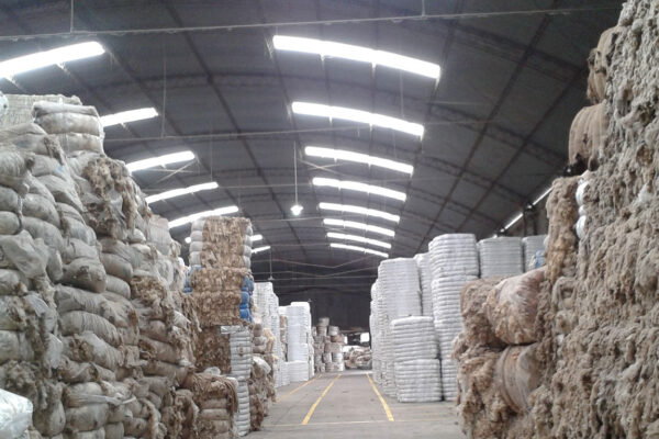 rantex_productos_ (2)