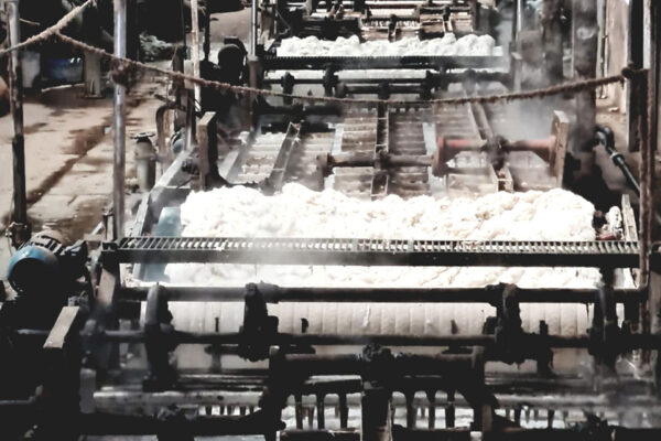 rantex_productos_ (5)