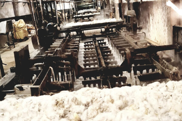 rantex_productos_ (6)